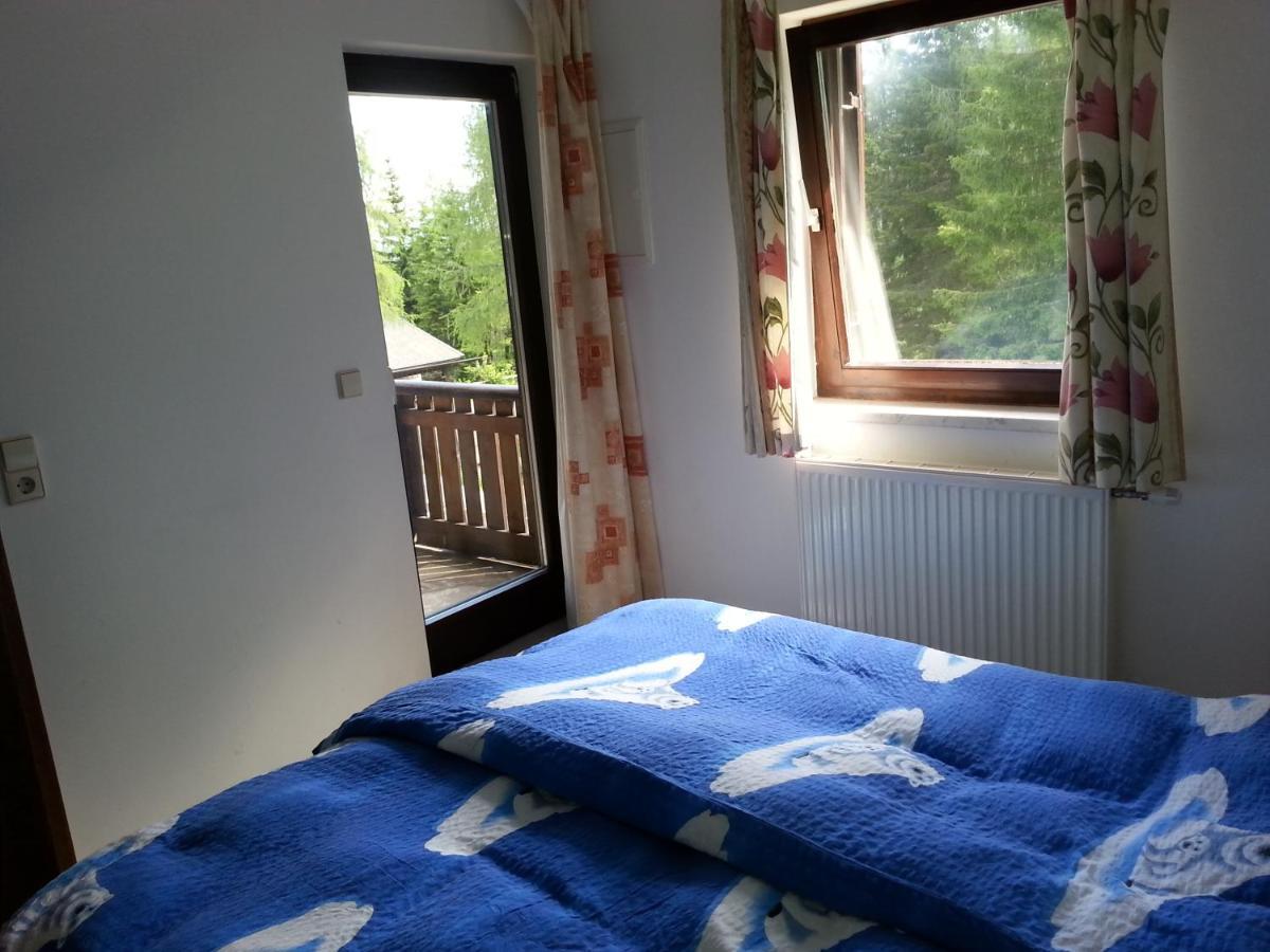 Fichtenblockhuette Sonnenalpe Nassfeld Rom bilde